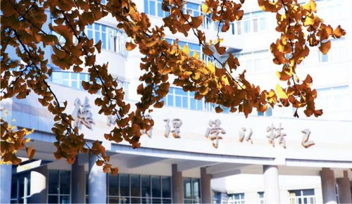 北京理工大學(xué)王牌專(zhuān)業(yè)盤(pán)點(diǎn) 網(wǎng)絡(luò)與信息安全、軟件開(kāi)發(fā)等熱門(mén)方向不可錯(cuò)過(guò)